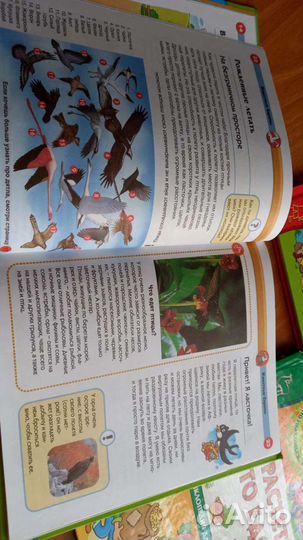 Энциклопедия для детей