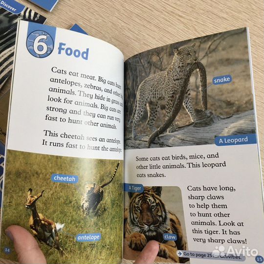 Oxford Read and Discover. Level 1