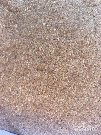 Зерноотходы отруби