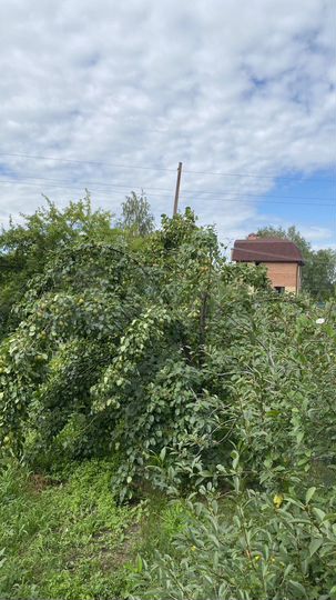 Дача 20 м² на участке 5,8 сот.