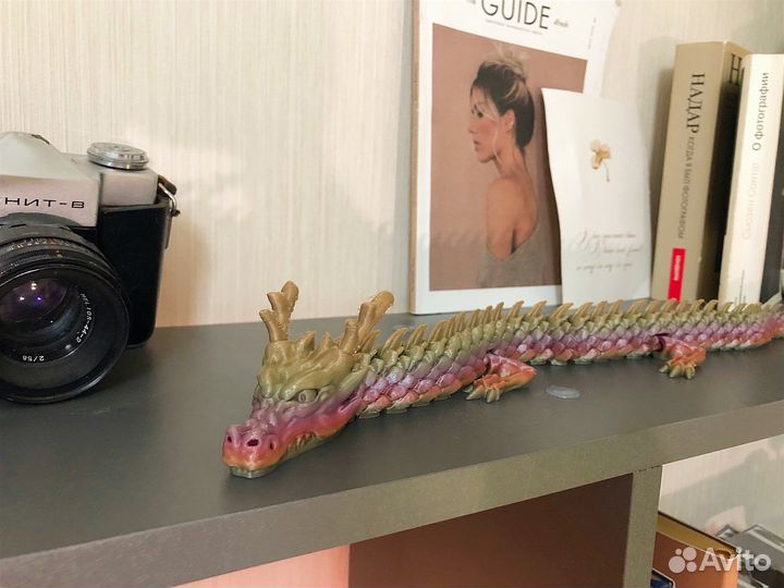 Денежный дракон