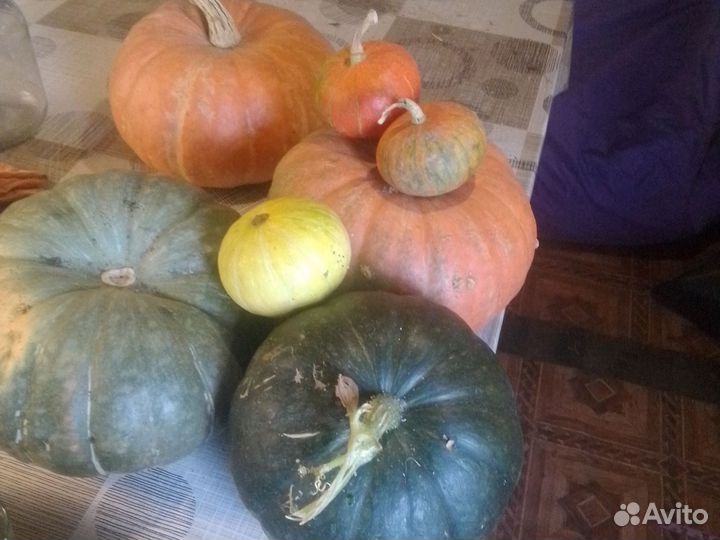 Чеснок домашний, тыквы