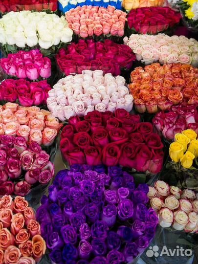 Цветы розы и букеты с доставкой