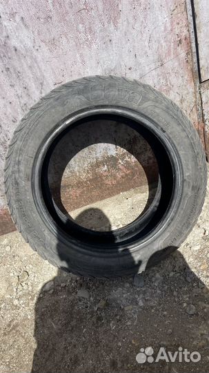 Sava Eskimo Stud 205/55 R16