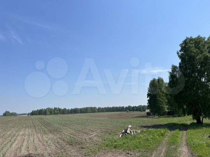 Участок 30 га (СНТ, ДНП)