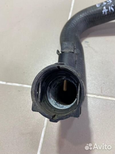 Патрубок радиатора нижний BMW 5 E39
