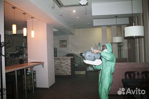 Уничтожение тараканов, клопов