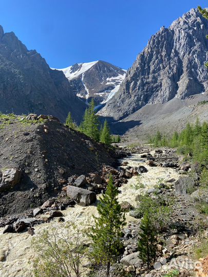 Весенний вояж по Алтаю