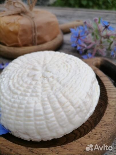 Молоко и молочные продукты