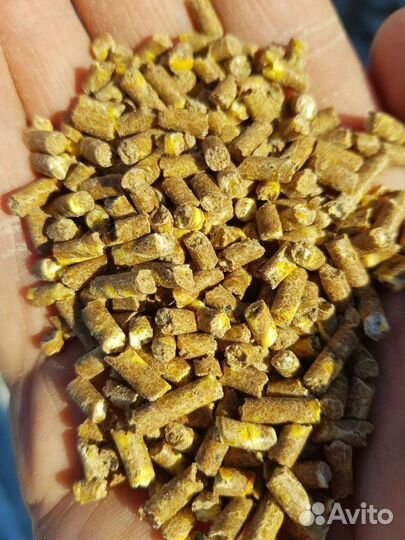 Комбикорм кукурузный от производителя