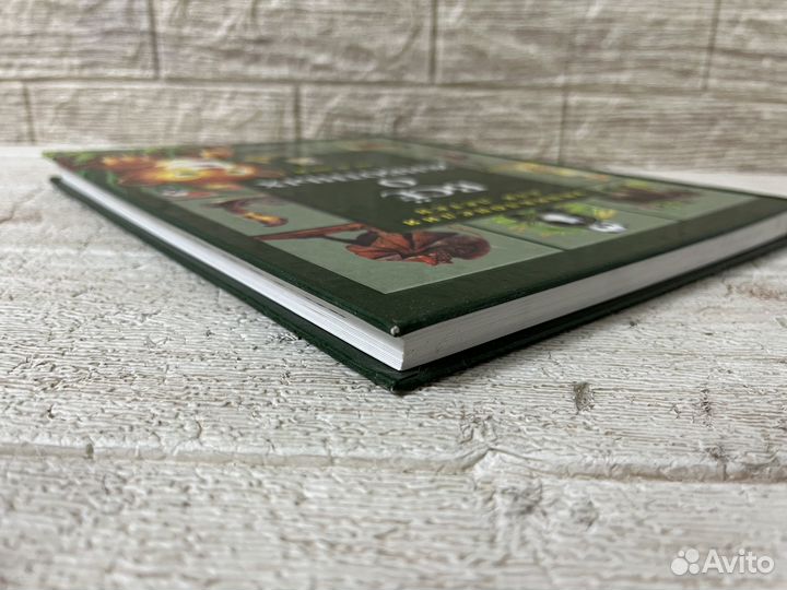 Энциклопедия для детей. Всё о животных. 2003 г