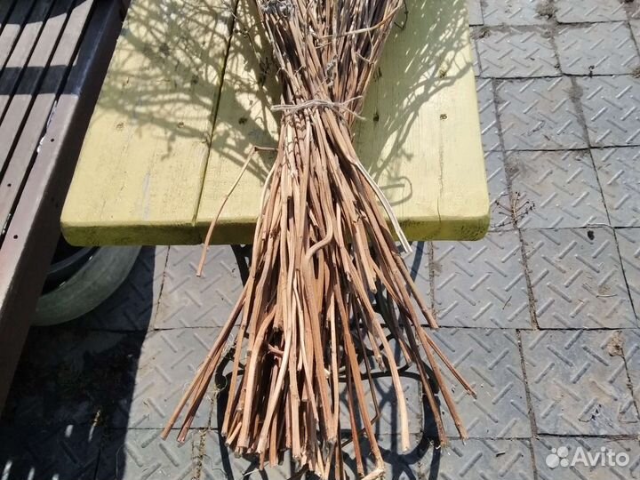 Мята мелисса