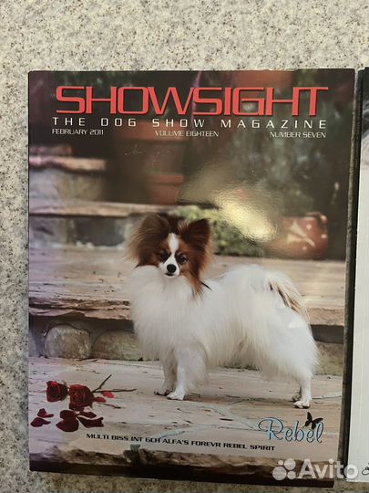 Журналы о собаках США