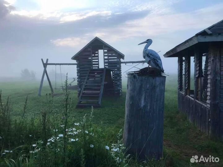 Ольховая глушь