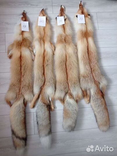 Шкуры лисы