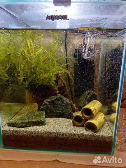 Аквариум