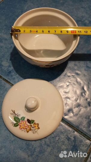 Сахарница вербилки СССР