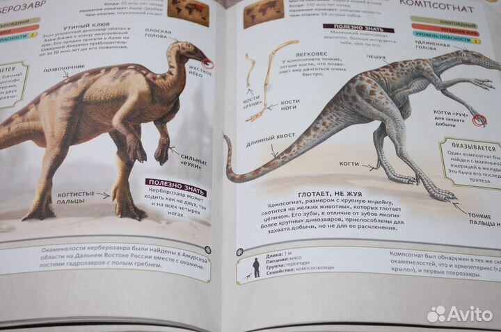 Книга Динозавры полная энциклопедия Росмэн