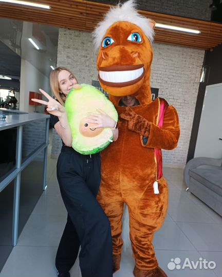 Поздравления/Ростовые куклы/Аниматоры/Панда/Тедди