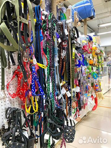 Ошейники для собак