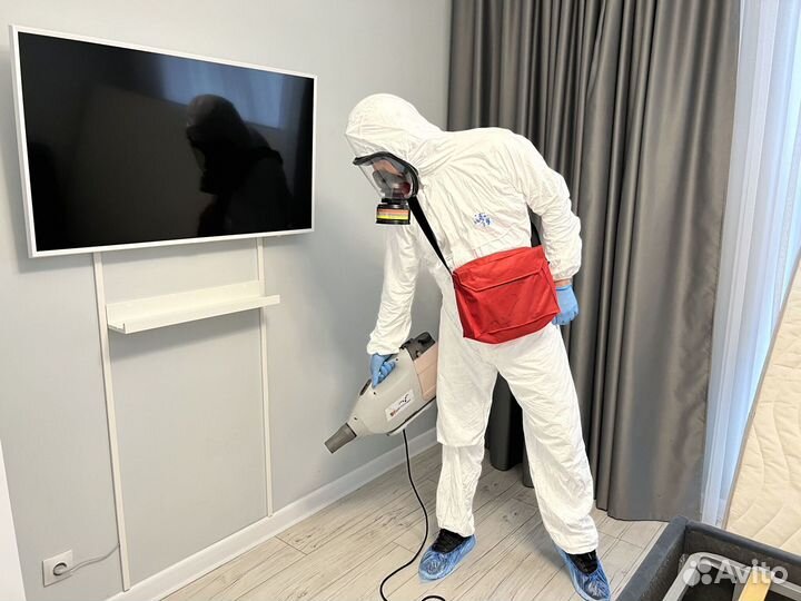 Уничтожение клопов, тараканов. Дезинсекция