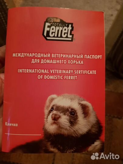 Продам ветеринарные паспорта для хорьков
