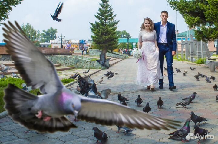 Фото- и видеосъемка