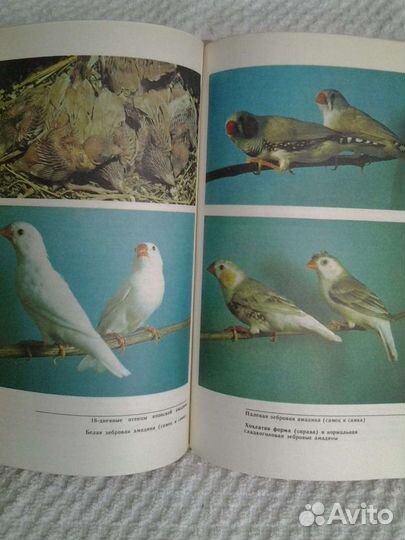 Справочные пособия, З. Фрейд