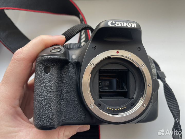 Фотоаппарат canon 550d body