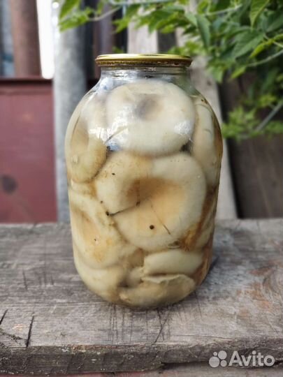 Грузди маринованные