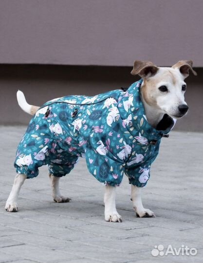 Комбинезон для собак