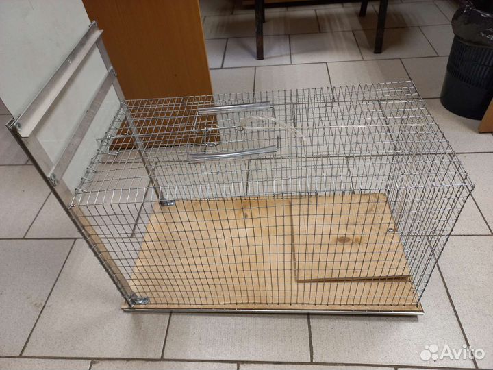 Котоловка в аренду