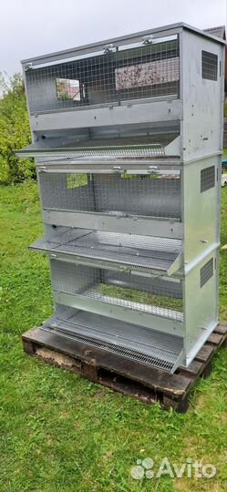 Клетки для кур несушек