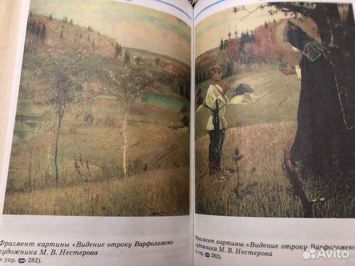 Русский язык 8/9 кл Разумовская дрофа