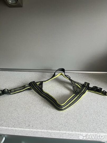 Шлейка для собаки