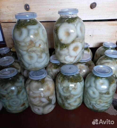 Грузди соленые