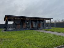 В Москве рассматривают варианты размещения двух изъятых львов