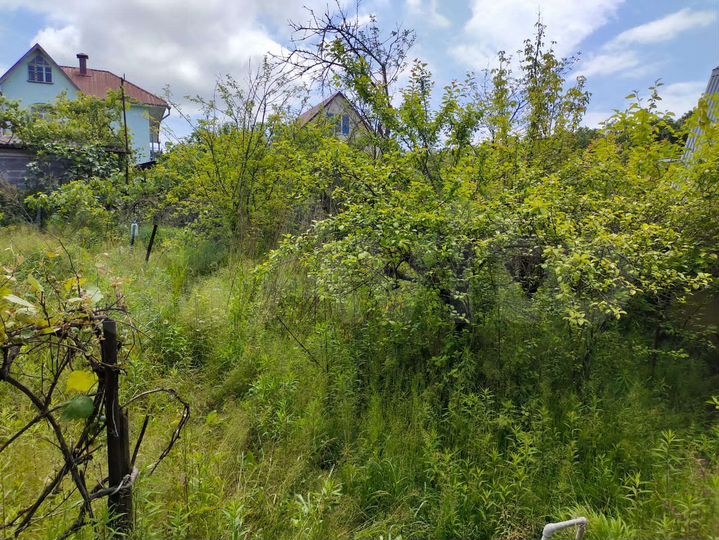 Участок 5,5 сот. (СНТ, ДНП)