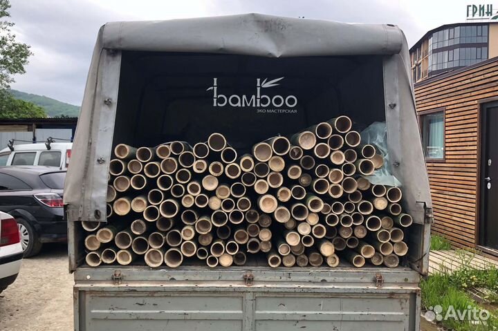 Бамбук стволы 1-8 см