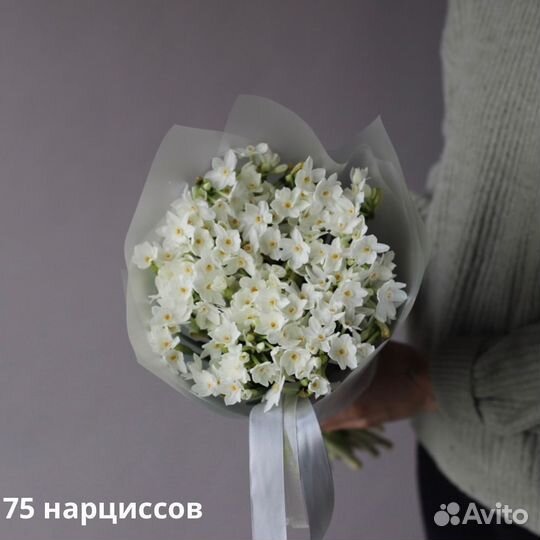 Нарциссы цветы