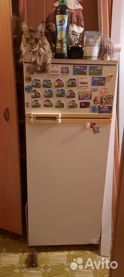 Холодильник атлант бу