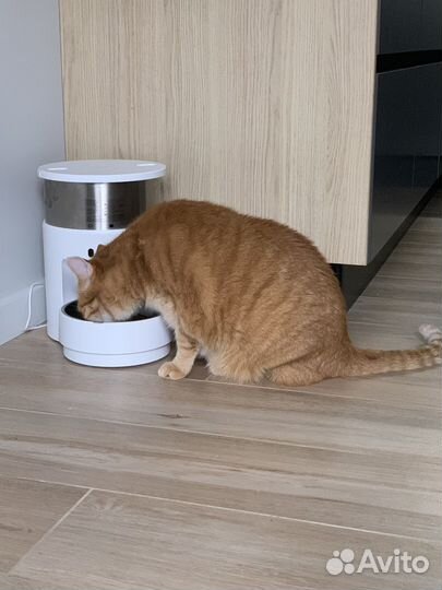 Автоматическая кормушка для животных