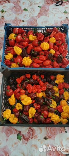 Крафтовый сверхострый соус из перцев чили