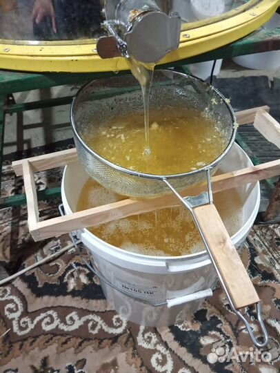 Мед акация 2024года