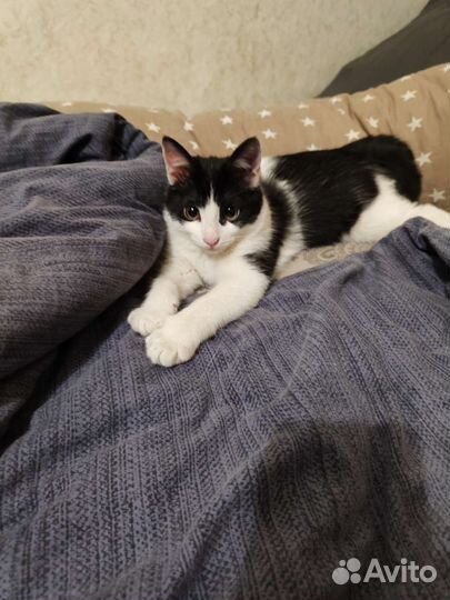 Малыш с приданым в добрые руки