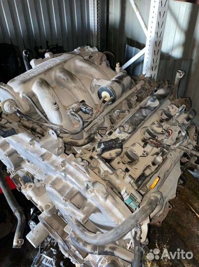 Двигатель Нисан Мурано VQ35DE