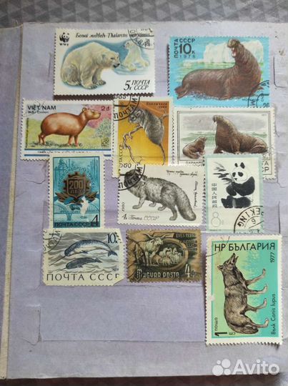 Коллекция почтовых марок