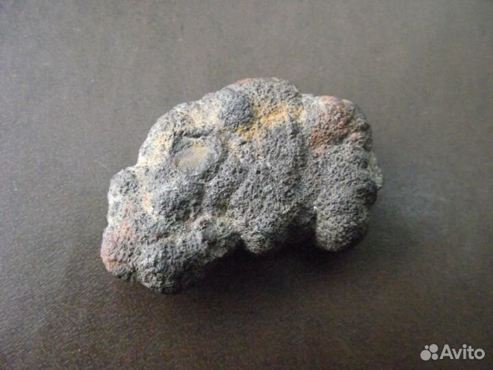 Метеорит найденный в Балаклаве