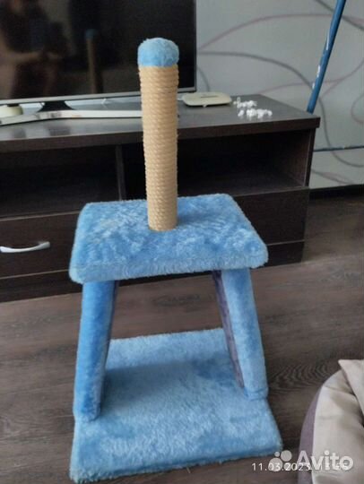 Когтеточка