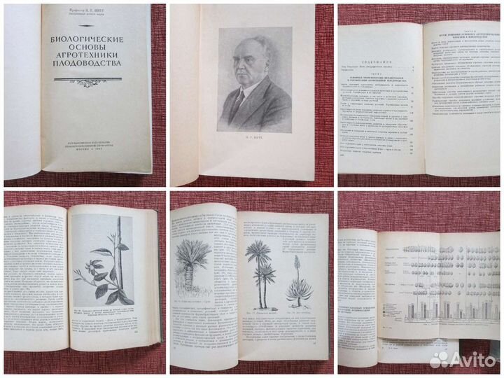 Книги по цветоводству и вредителям, СССР